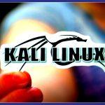 Linux in your hand