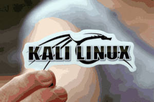 Linux in your hand