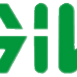 NGINX HTTP Server and Reverse Proxy